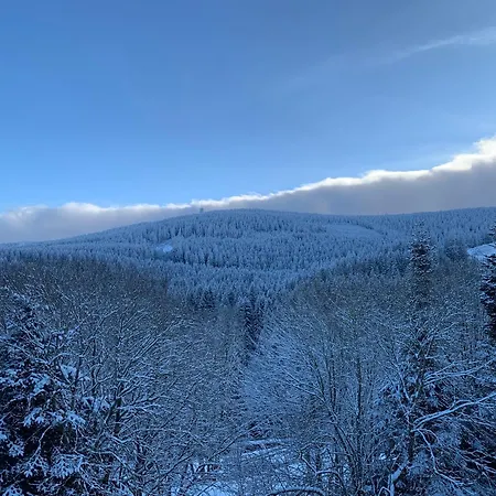 Erzgebirge Gipfelgruen Apartmán Oberwiesenthal