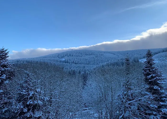 Erzgebirge Gipfelgruen Apartmán Oberwiesenthal